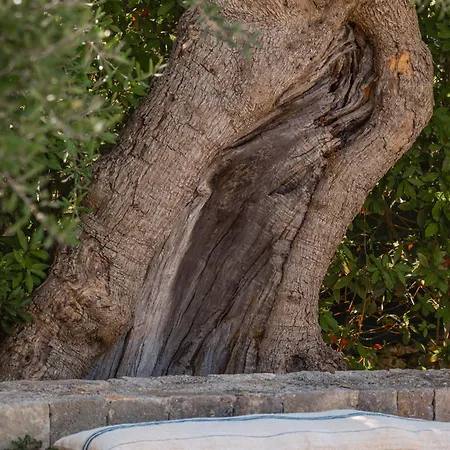 Trulli-mestandrea Al Poggio Piscina Uso Esclusivo Noci