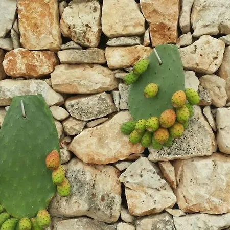 Trulli-mestandrea Al Poggio Piscina Uso Esclusivo Holiday home